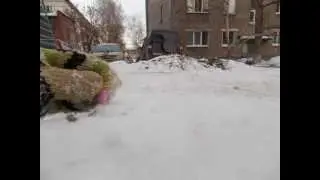 Cat time      Кот-леденец