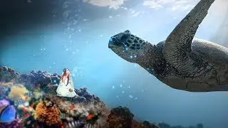 Photo Manipulation Tutorial | The Seabed dweller