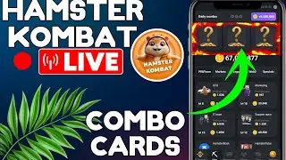 Hamster Kombat Daily Combo Cards ♦️ HAMSTER 🐹 Kombat 🔴Live  The Tecky