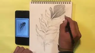 درس چهارم رسامی پرداز پر
