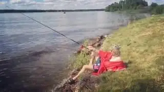 Рыбы в шоке
