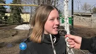 Репортаж 1 Первое  Международный день птиц
