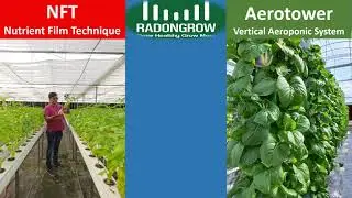Why Loss making in NFT Hydroponic System.