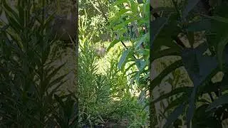 СТРАШНО НО ТАК ИНТЕРЕСНО