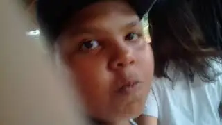 Nova raça de cachorros (Cachorros Pigs) 🐕🐖🐷🐽