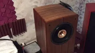 Shengya A28 + Sartorial audio coaxial