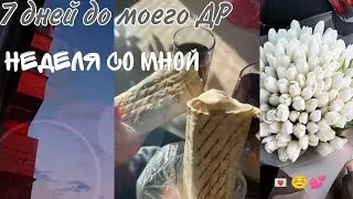 неделя влога! 7 дней до моего дня рождения