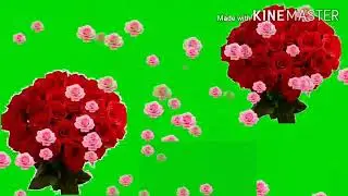 Green screen video |flower rain