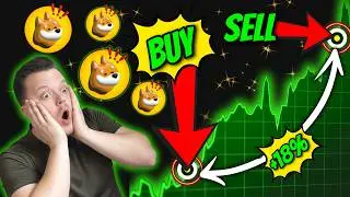 BONK Coin: The Next 100x? (Truth Exposed) | Bonk Meme Coin News