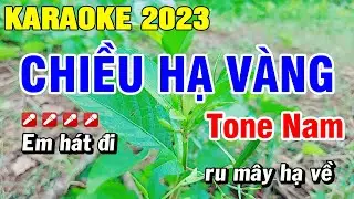 Karaoke Chiều Hạ Vàng Nhạc Sống Tone Nam Beat Chuẩn | Hoài Phong Organ