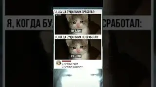 Ну блин😂 