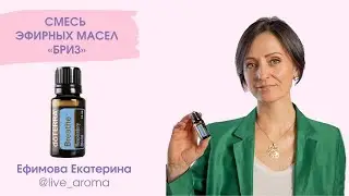 Бриз