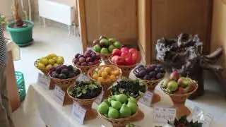 Международная научная конференция «Плодоводство Беларуси: от традиций к инновациям» 18.08.2022