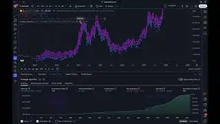 The Bitcoin Algorithm Setup: A Step-by-Step Guide
