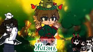 информация про мой канон и Эви мир!)) гача_лаиф *за кадром*