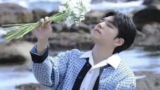𝐏𝐥𝐚𝐲𝐥𝐢𝐬𝐭 봄내음 가득한 보이밴드곡 모음 🌸