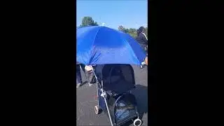 Snake Stroller