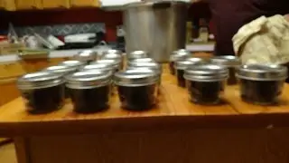 Smoking and Canning Oysters