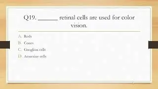 Optometry MCQs Series - Part 4