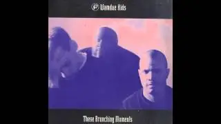 Wamdue Kids - Alasque