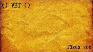Ady Endre - Varga-Bíró Tamás: Tüzes seb