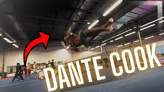 BEST OF DANTE COOK 2024