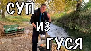 СУП ИЗ ГУСЯ С ЯБЛОКОМ