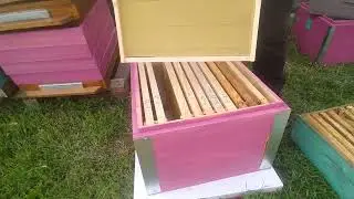 How to raise a bee to a super and build a 145 frame: 2 more methods