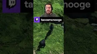 It was an accident, ASPCA | TacosMcNooge on #twitch #ghostoftsushima #shorts #reels #fyp #gaming