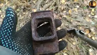 В гуще Леса нашёл монету на тх850