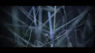 Test  for intro no words free to use