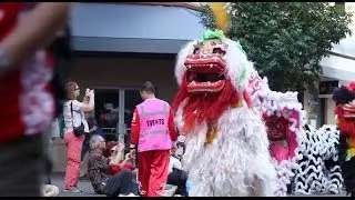 Chinese New Year Parade and Lion Dance 2014 - Honolulu, Hawaii