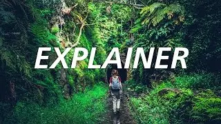 Canon Light Awards - Explainer