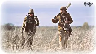 Goose hunting - The Euphoria