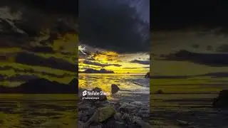 Ака ука, опа сингиллар учун!