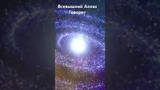 Всевышний Аллах сказал #аллах #islam #коран #пророк