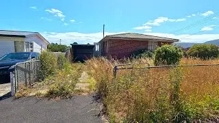 From Chaos to Class: Reviving a Crazy Overgrown Yard with the Midas Touch!