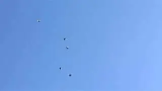 22.05.2017 Ветер порывистый.
