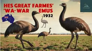 The Great Emu War 1932 #facts #australia #emu #history #farming #crops #evolution #shorts #video