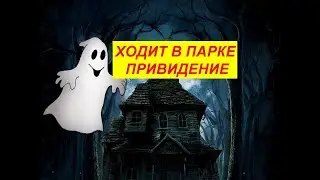 Ходит в парке привидение.