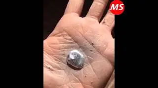best videos compilation - best funny videos 2018 ● people doing stupid things