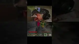 майнкрафт, но с если я получу урон, то понижаю фпс #minecraft #shorts