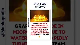 Bursting Grapes in Microwaves 🍇🔥| #didyouknow #factsdaily  #facts #shorts #ytshorts #microwavegrapes