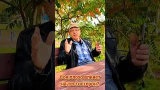 Как соя влияет на тестостерон?