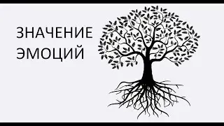 Значение эмоций (о чём сообщают эмоции на самом деле)