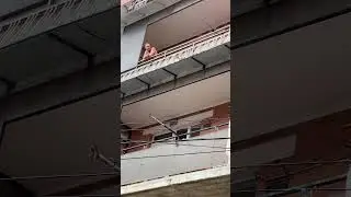 На грани фола#врекомендации#song#nature#funnyvideo #cat#rain
