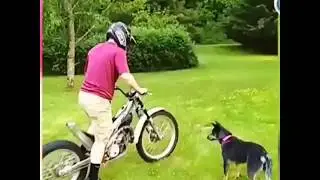 👑Vídeos De Risa 2020/SI TE RIES PIESDES (Muy Dificil)😝