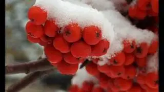 Саксофон и композитор - Анатолий Пчелов 