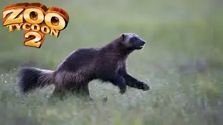 Wolverine Exhibit Speed Build - Zoo Tycoon 2