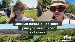 Винный поход в Германии. Немецкие мероприятия. Культура хайкинга в Германии. Жизнь в винном регионе